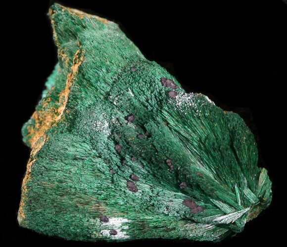 Silky, Fibrous Malachite Crystals - Morocco #42042